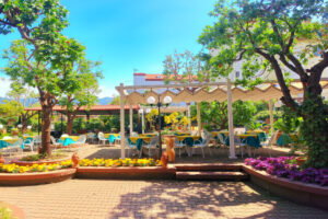 Hotel Girasole Sorrento Hotel Girasole Sorrento