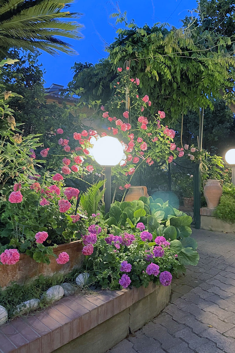 Hotel Girasole Sorrento Hotel Girasole Sorrento
